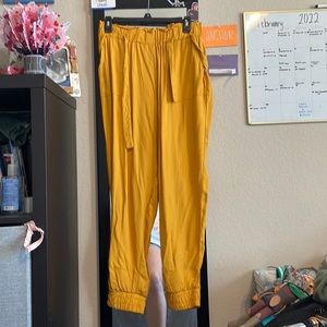 Goldfish yellow pants